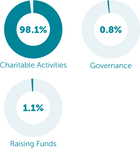 fundraising_chart02