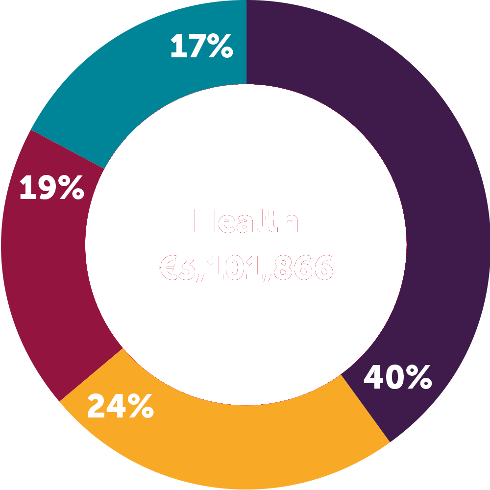 health-graph01