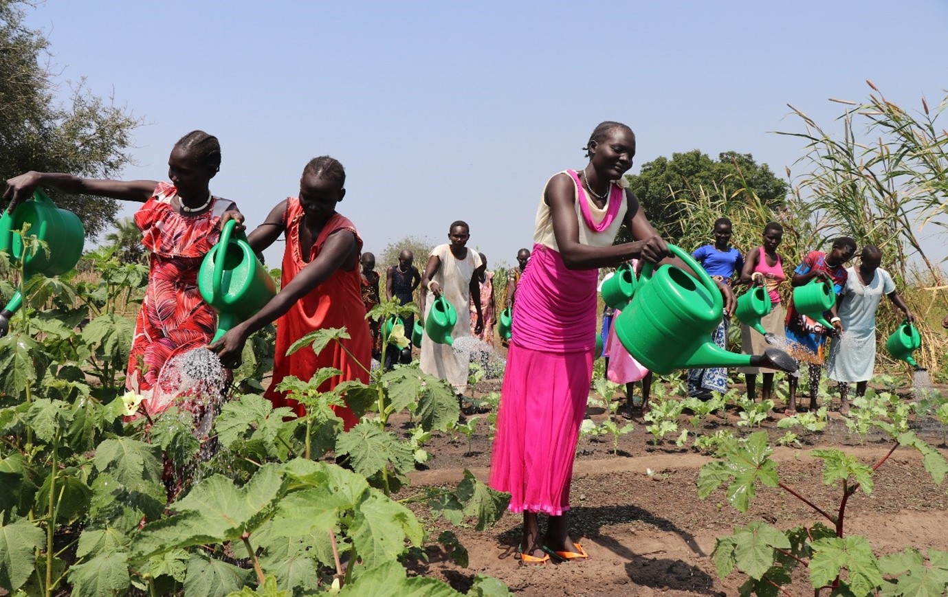 Irish Jesuits International and Multi-educational and Agricultural Jesuit Institute of South Sudan (MAJIS), South Sudzn 